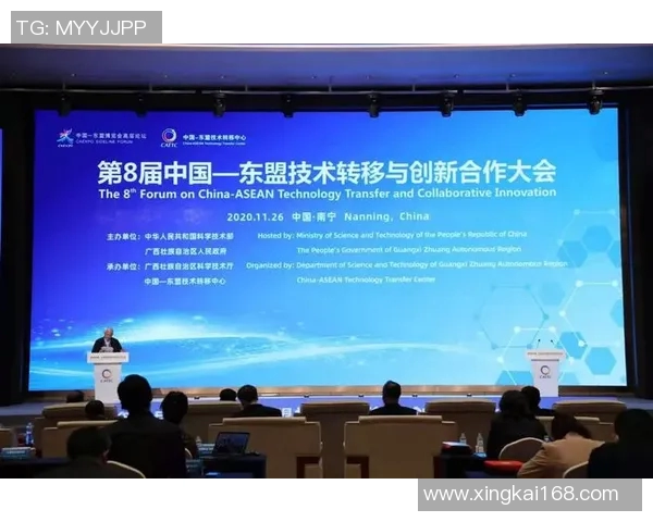 上海小赛虎足球星河湾周边发展规划与未来潜力分析 上海小赛虎足球星河湾周边发展规划与未来潜力分析